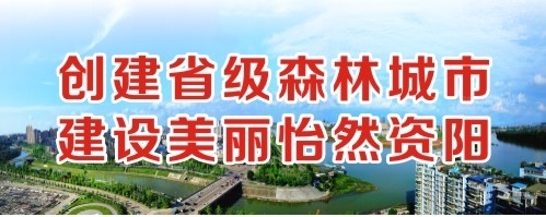 www,操逼创建省级森林城市 建设美丽怡然资阳